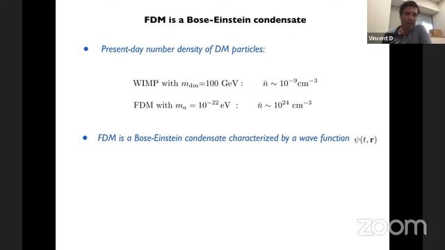Dynamical friction on circular orbits | Dr. Vincent Desjacques | Technion