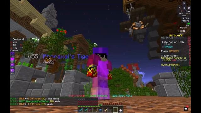 How To Be a Berserker in Hypixel Skyblock!(Guide)