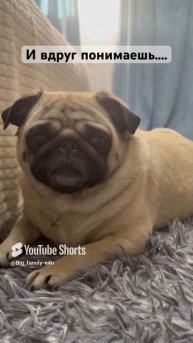 Порой можно обойтись и без встреч 🤣🤣🤣🤣 Юмор