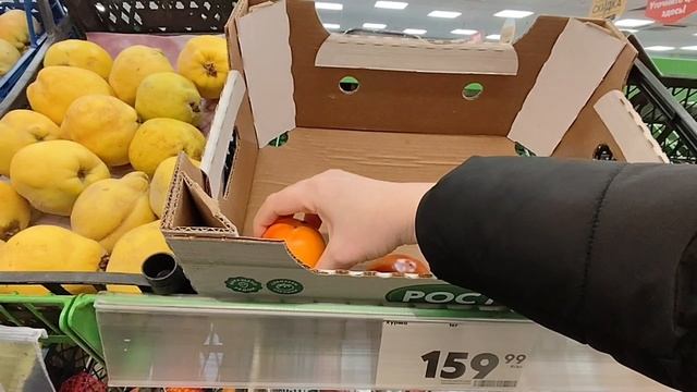 Ейск/Володя меня ПОЗОРИТ/Где РАБОТАЕТ Володя/Муж лентяй/Кот СВАРЩИКА/Ночной Ейск