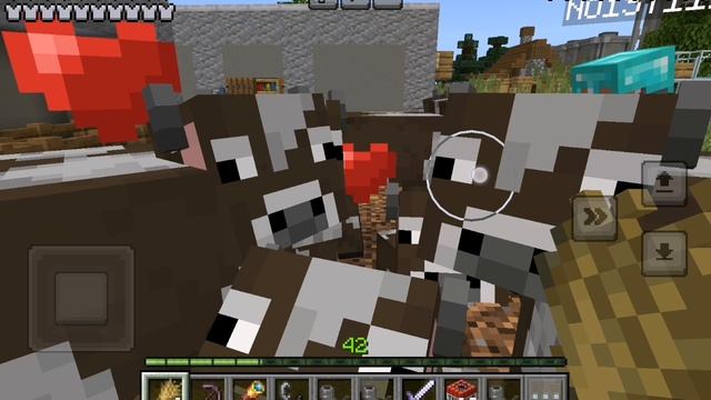 SVID_20250125_201616_2.mp4