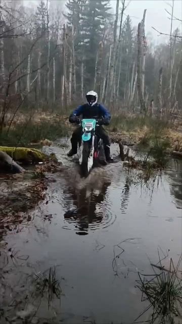 "Вода-это колыбель разумной жизни..."
Михалыч