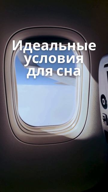 Идеальные условия для сна