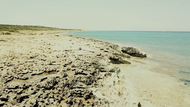 Стук ветки в окне (стихи афонского старца)