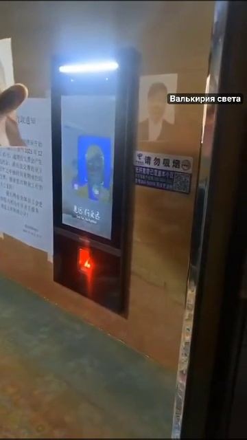 VID_20241223_005444_893.mp4