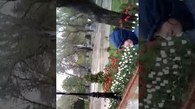 мини влог под сильным дождём