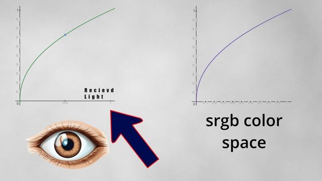 sRGB color space & Linear color space concept in computer graphic
