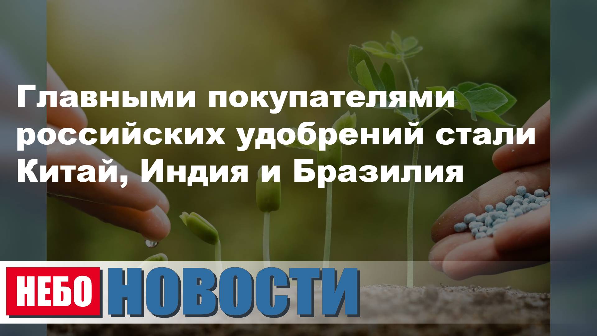 Российские удобрения в Китае, Индии и Бразилии | Криптосауны в России | Электромобили: 18 лет службы