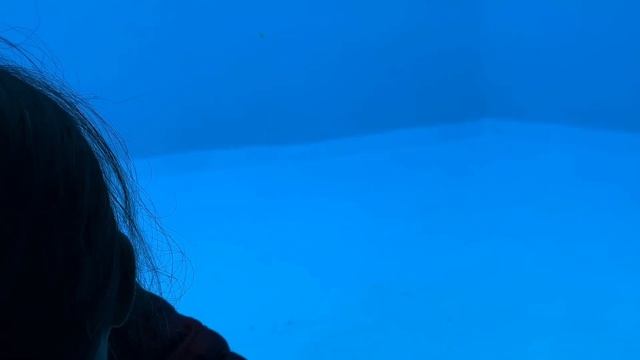 Nagoya Port (Dolphin Show) - Gala with my relatives.