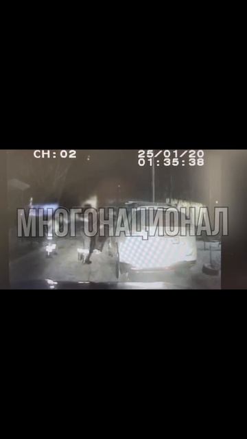 В Орске два абу-бандита напали на сотрудников ДПС  Инспекторы остановили автомобиль для проверки док