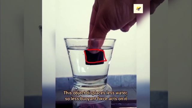 Archimedes Principle | Physics