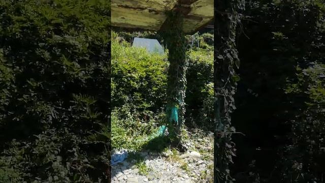 Лов креветок и мидий в Черном и Азовском морях запрещен. Всем нарушителям грозит штраф
