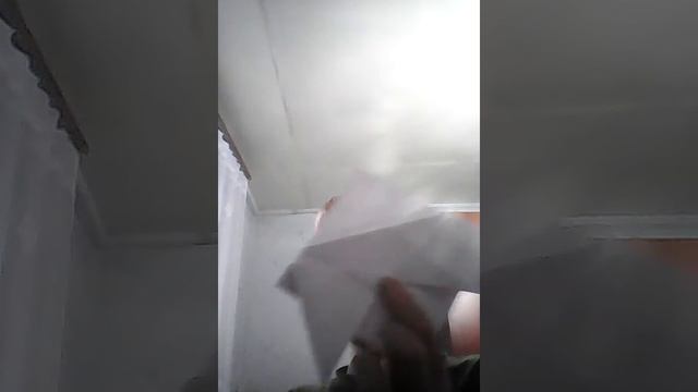 Делаем муху из бумаги