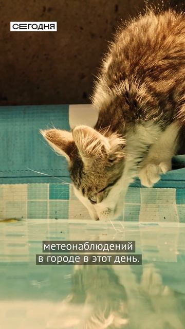Жара в Бишкеке побила рекорд!