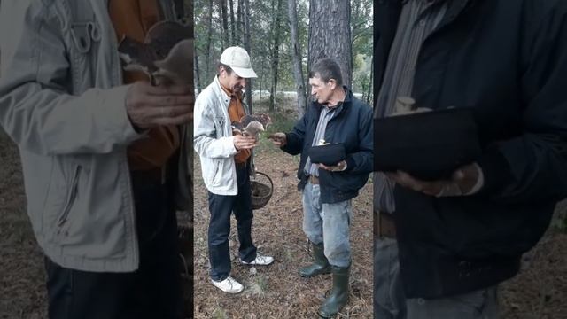 Найстарший Дуб України!