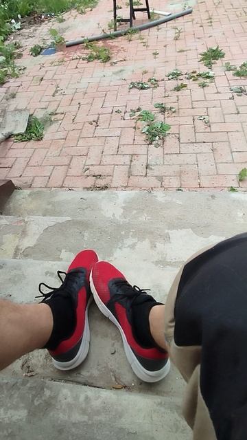 VID_20240729_161406