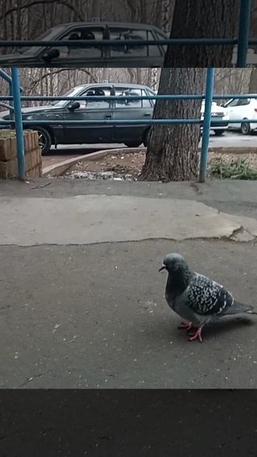 1000008654.mp4