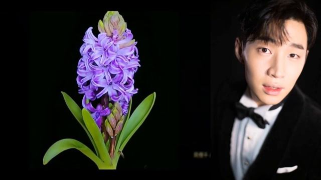 Henry Lau - Dance of flowers ("7 Rings" Ariana Grande) 🌸🌷🌼