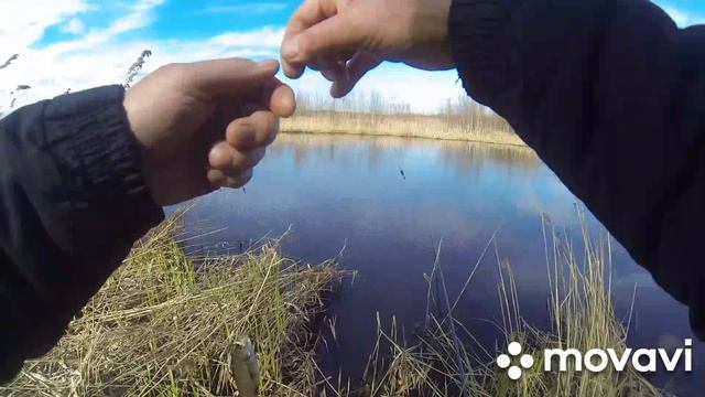 Рыбалка на поплавок на домашнем водоёме .