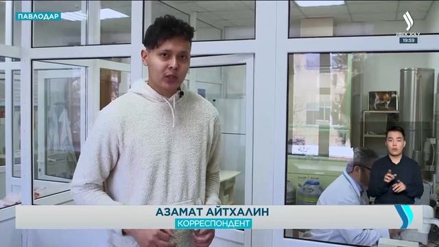 Телят из пробирки выращивают в Павлодарской области. «Новости» | Jibek Joly TV