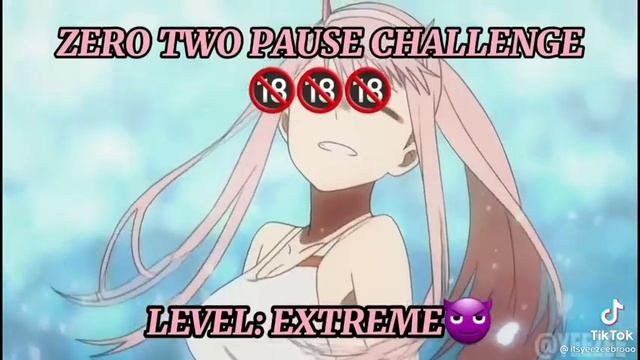 Pause the video challenge: Zero Two/not mine⚠️