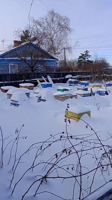 зима.