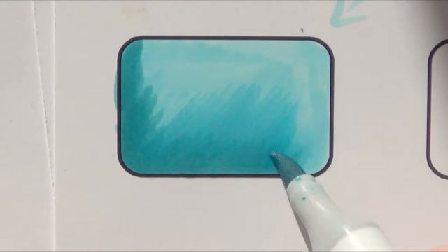 Color Laydown Full (Light to Dark)
