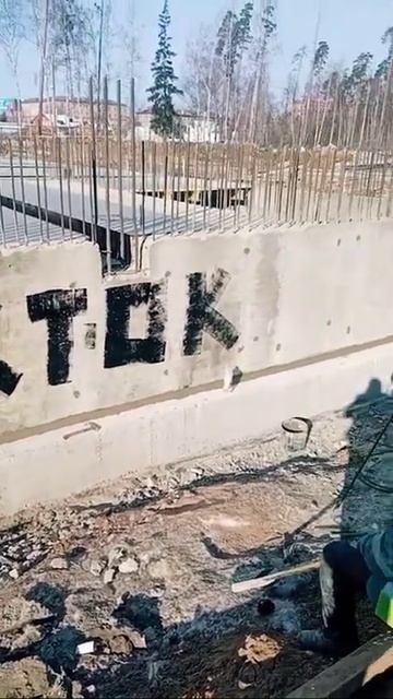 СИДЯТ ТИК ТОК СМОТРЯТ #Shorts