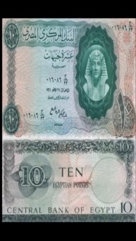10جنية التوت وغالية ومزاد اين# #333 #سعر #جدا