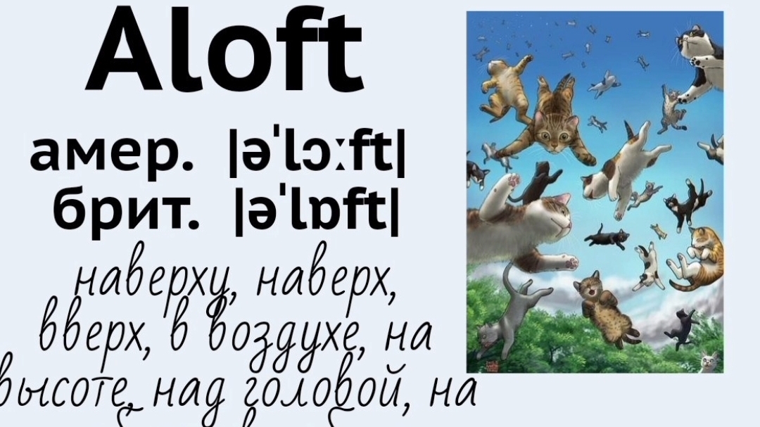 Picture dictionary/визуальный словарь👉aloft