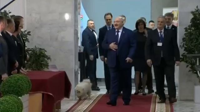 telegram-cloud-document-2-5238123143331080203