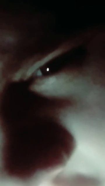 В не допетых моих песнях...