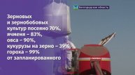 В Белгородской области завершают сев яровой пшеницы. Посеяли уже 95%