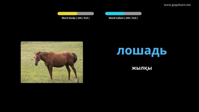 Орысша лексика 1 орта мектебі | Golearn