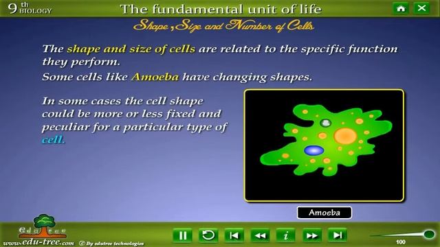 CBSE 9th class Biology chapter   Fundamental unit of life  NCERT by edutree HD