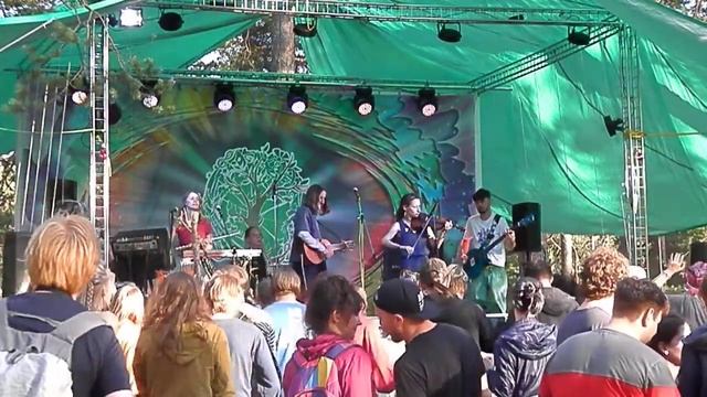 Лосось Мудрости  - Орден мокрой собаки (31.07.2021 @ Своя Атмосфера)