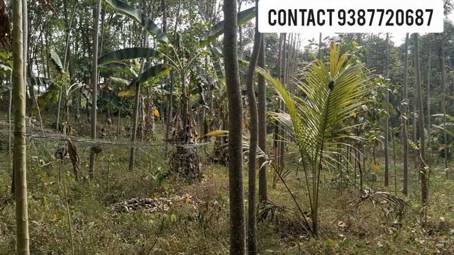 95 Cent 4 Bedroom House For Sale In Ponkunnam Elamgulam #houseforsale #homefo 307
