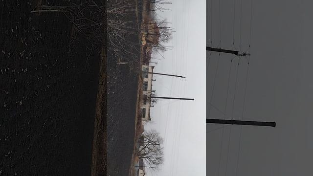 1000003983.mp4