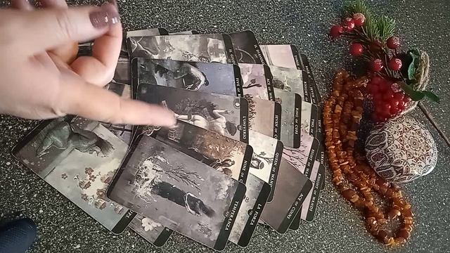VID_20250126_134658.mp4