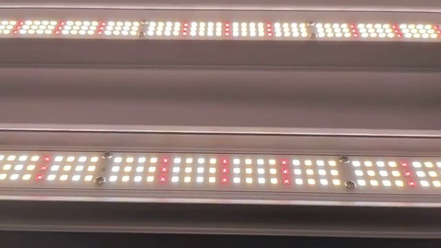 240W grow light bar