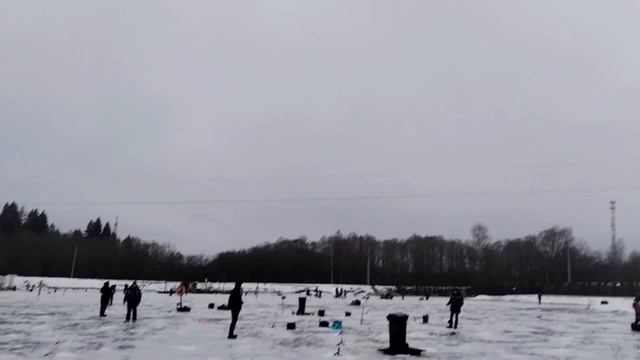 Поимки