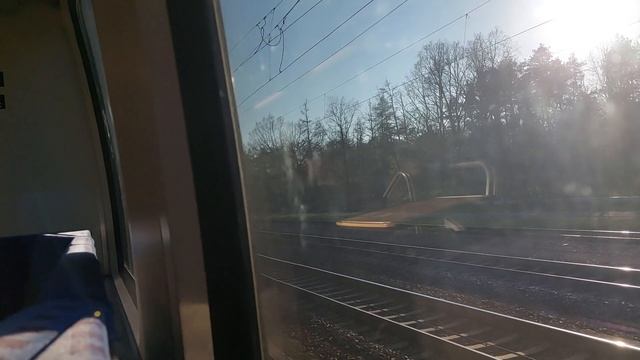 Mitfahrt in der S8 von Bitterfeld bis Lutherstadt Wittenberg Hbf in der BR 442 mit JimmyU8