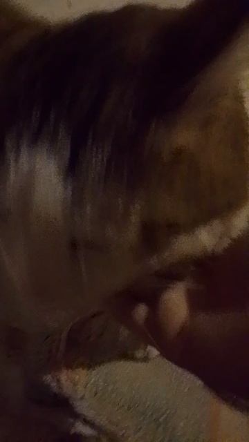 1000020026.mp4