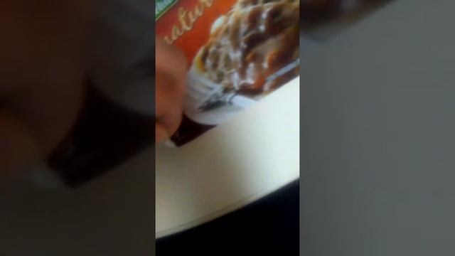 Michelina's Signature Salisbury Steak 2017