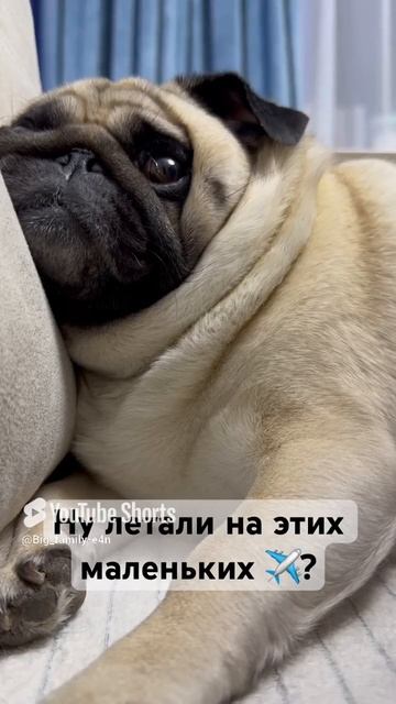 Удачного полета - ИП ЮРИЙ ДМИТРИЕВИЧ 🤣🤣🤣