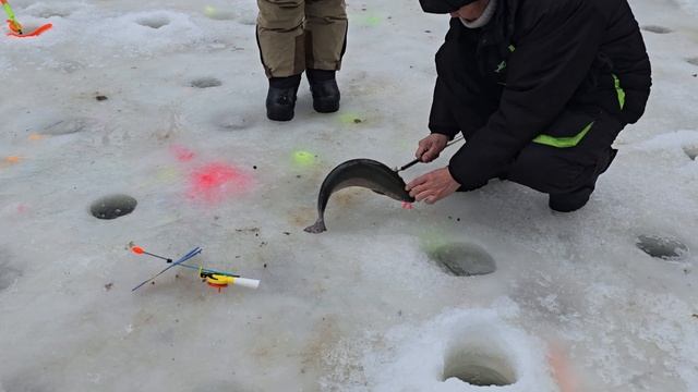 26.01.25 г. Парк отдыха водопад