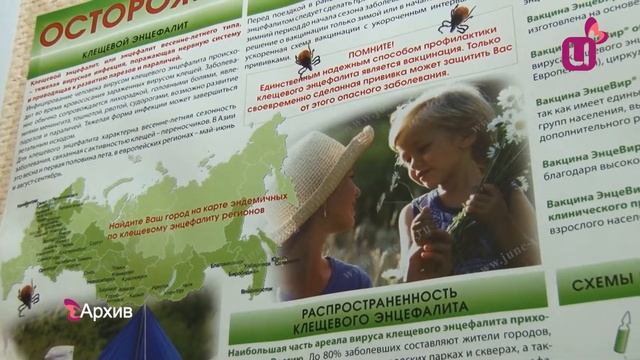 Осторожно, клещ!