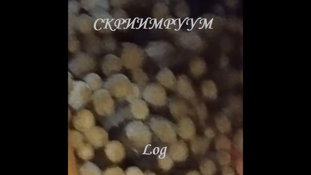 СКРИИМРУУМ - Log