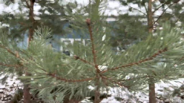 Снова зима в Рощинском хуторе. А в нашем доме тепло и уютно. Бронируйте прямо сейчас.
