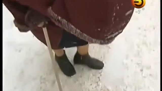 Зоошиза набросилась с угрозами на жительницу Казани